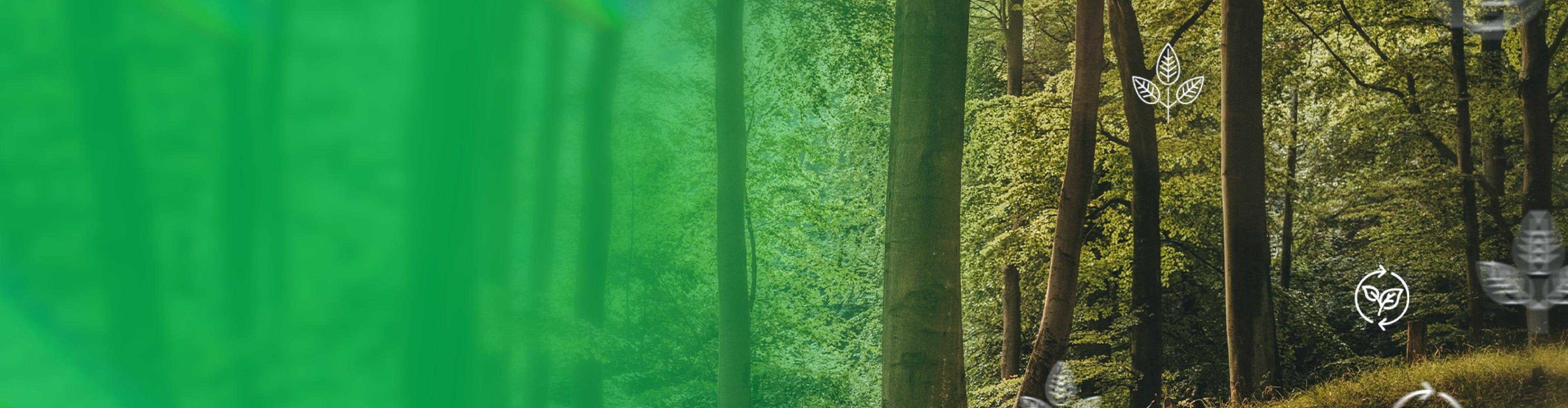 Saiba como a GS1 contribui para um futuro mais sustentável.