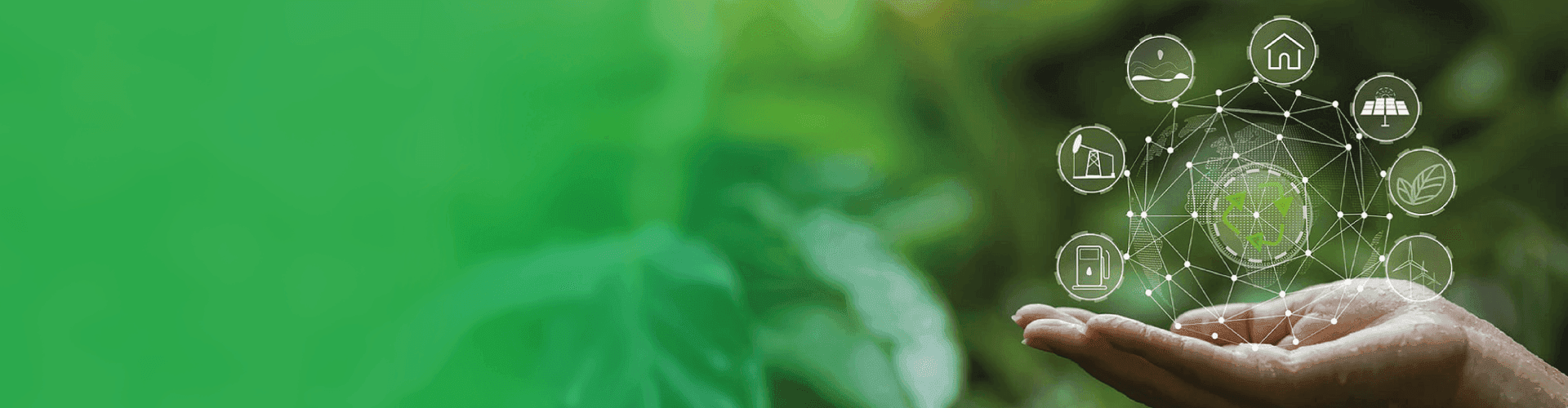 Economia circular e rastreabilidade