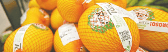 Itaueira Agropecuária