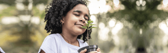 Responsabilidade Social: